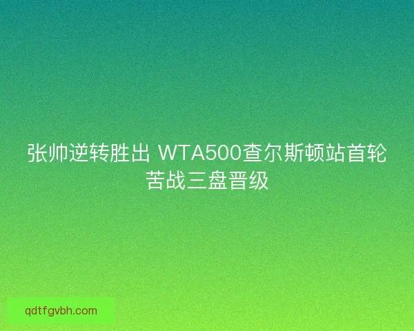 张帅逆转胜出 WTA500查尔斯顿站首轮苦战三盘晋级