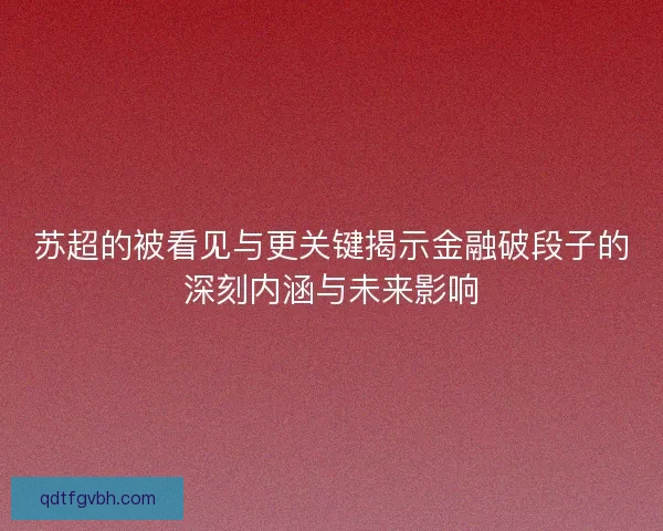 苏超的被看见与更关键揭示金融破段子的深刻内涵与未来影响