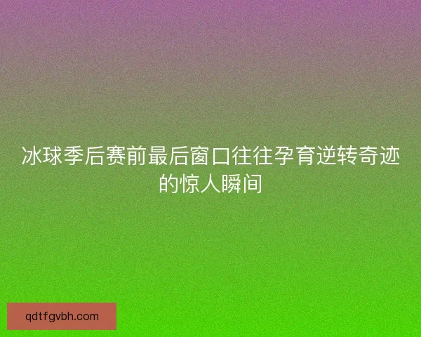冰球季后赛前最后窗口往往孕育逆转奇迹的惊人瞬间 冰球季后赛前最后窗口往往孕育逆转奇迹的惊人瞬间